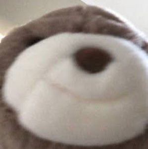 Meet your Posher, Carrie